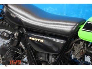 250TR　ＢＪ２５０Ｆモデル　カスタムマフラー　２００５[img15]
