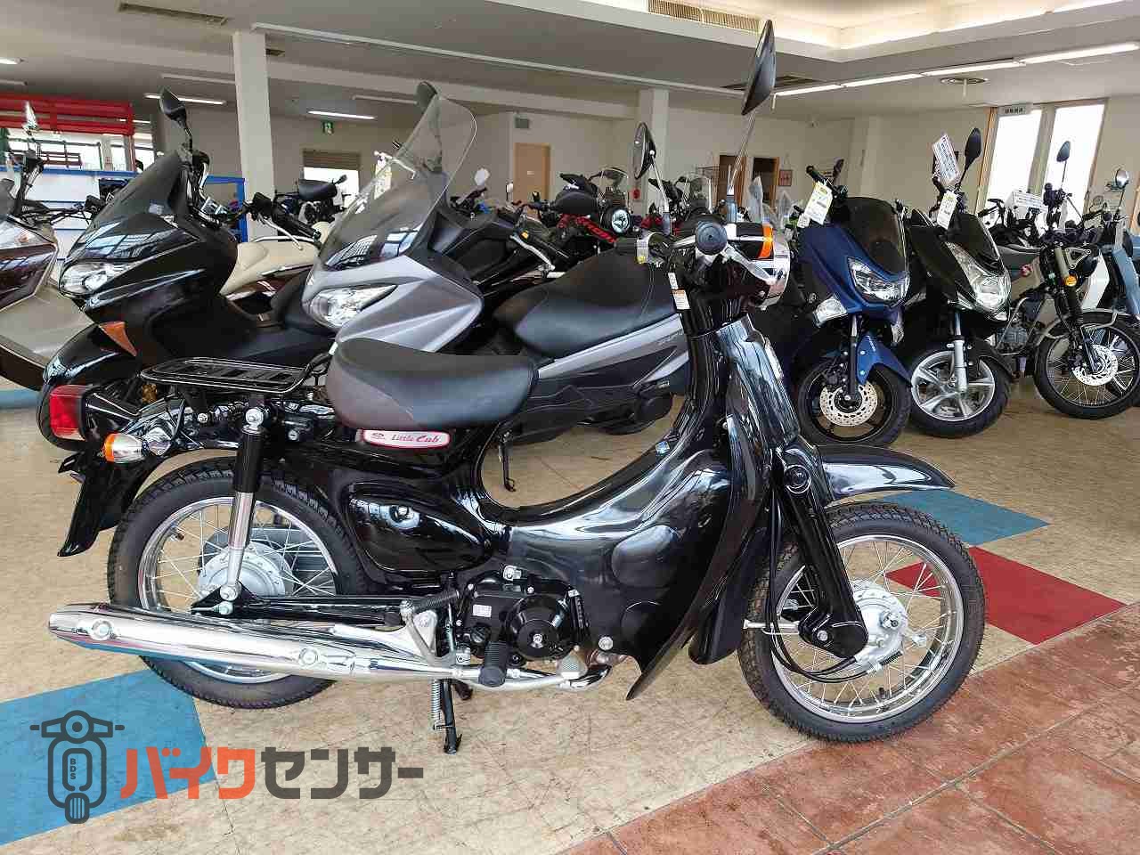 ホンダ リトルカブ B667125| BDSバイクセンサー ホンダ リトルカブ B667125| BDSバイクセンサー