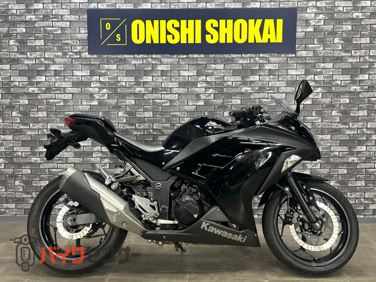 カワサキ Ninja250 B667428| BDSバイクセンサー