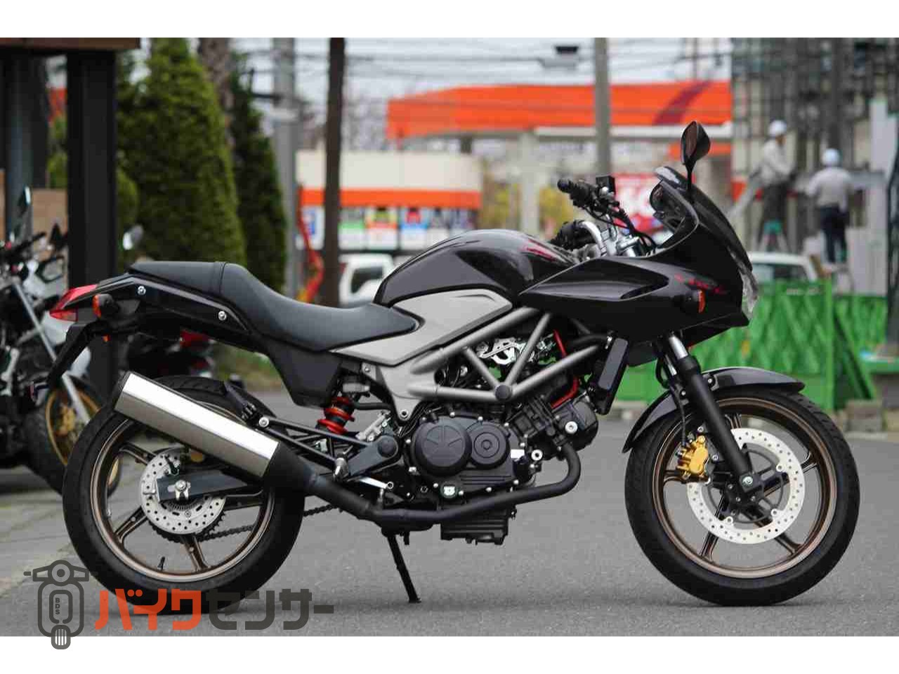 ホンダ VTR250F B667873| BDSバイクセンサー