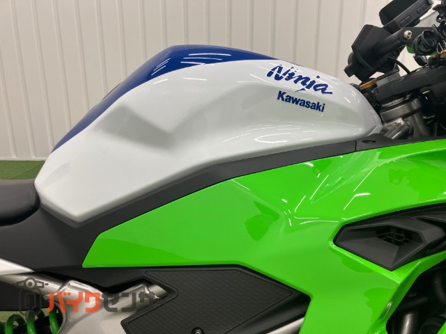 NINJA ZX-4RR Anniversary Edition WR'Sスリップ