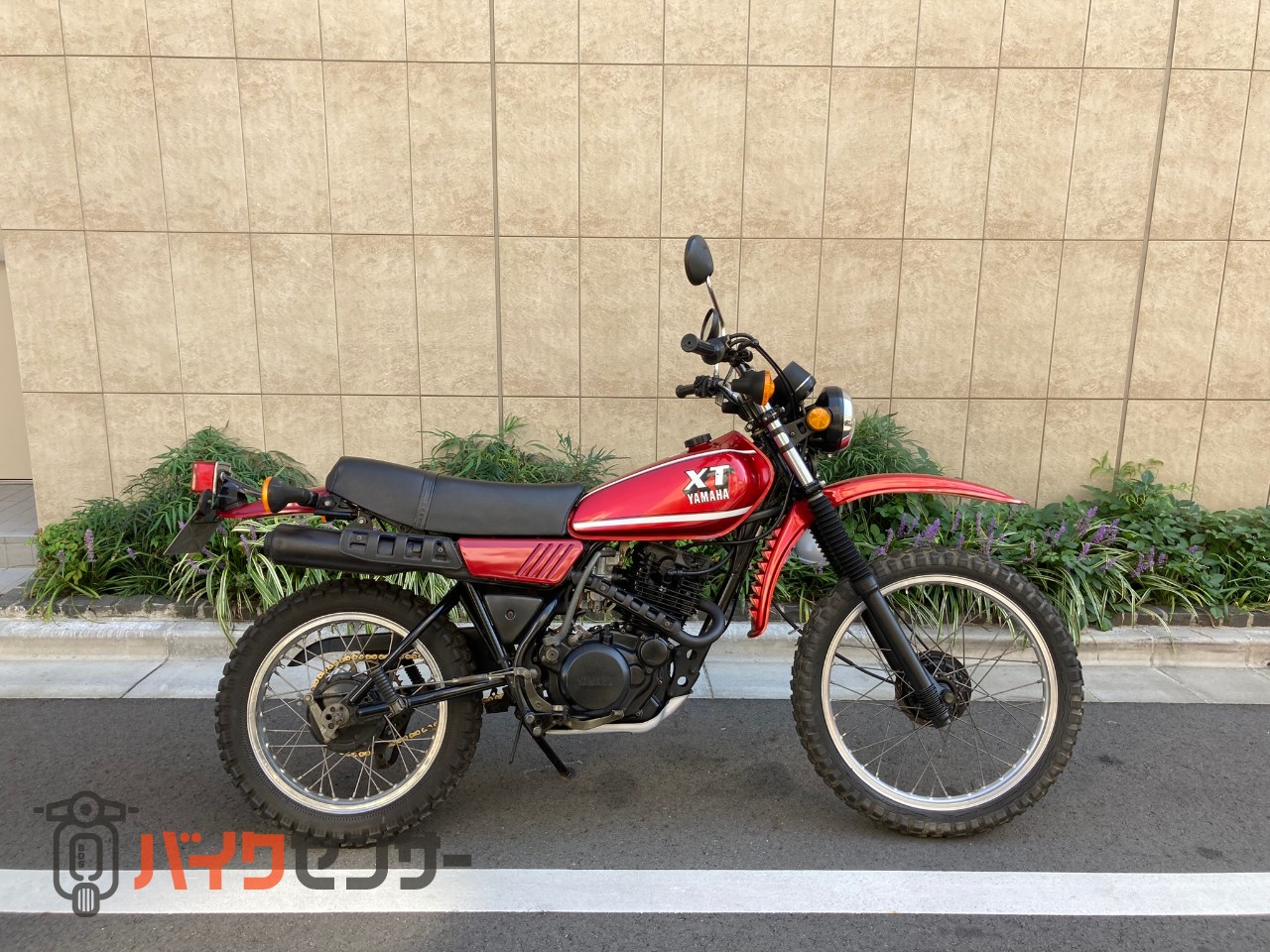 xt250 3y5 xt250 TT250