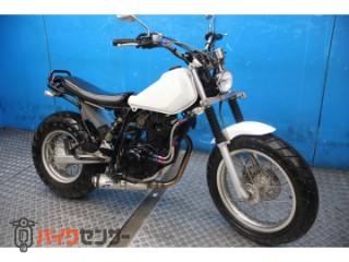 TW225E　ＤＧ０９Ｊモデル　スカチューン　オイルクーラー　カスタムマフラー