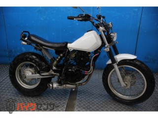 TW225E　ＤＧ０９Ｊモデル　スカチューン　オイルクーラー　カスタムマフラー[img1]