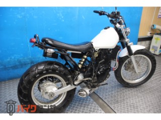 TW225E　ＤＧ０９Ｊモデル　スカチューン　オイルクーラー　カスタムマフラー[img2]