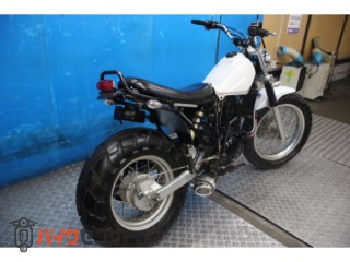 TW225E　ＤＧ０９Ｊモデル　スカチューン　オイルクーラー　カスタムマフラー[img3]