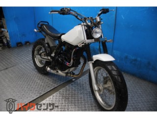 TW225E　ＤＧ０９Ｊモデル　スカチューン　オイルクーラー　カスタムマフラー[img4]