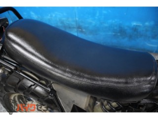TW225E　ＤＧ０９Ｊモデル　スカチューン　オイルクーラー　カスタムマフラー[img5]