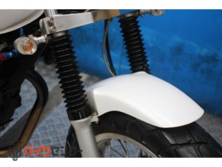 TW225E　ＤＧ０９Ｊモデル　スカチューン　オイルクーラー　カスタムマフラー[img10]