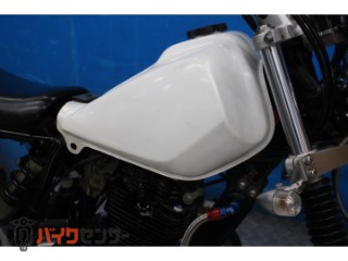 TW225E　ＤＧ０９Ｊモデル　スカチューン　オイルクーラー　カスタムマフラー[img13]