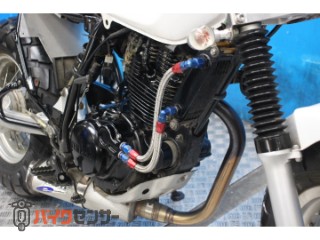TW225E　ＤＧ０９Ｊモデル　スカチューン　オイルクーラー　カスタムマフラー[img16]