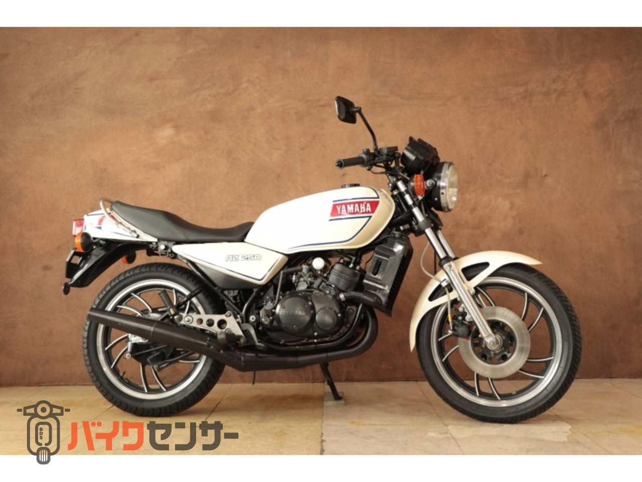 ヤマハ RZ250 国内4L3 ノーマル車 B669659| BDSバイクセンサー