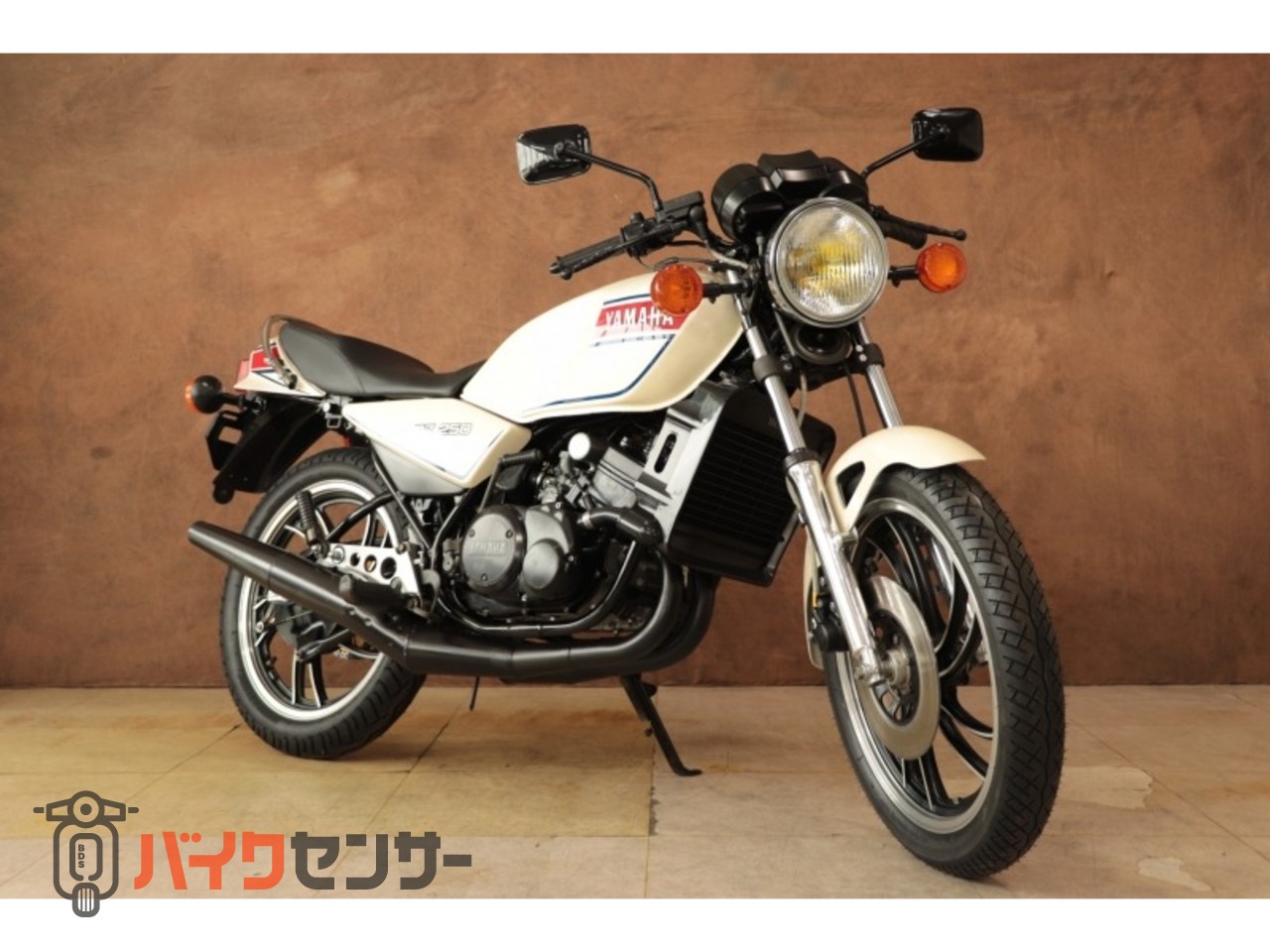 ヤマハ RZ250 国内4L3 ノーマル車 B669659| BDSバイクセンサー