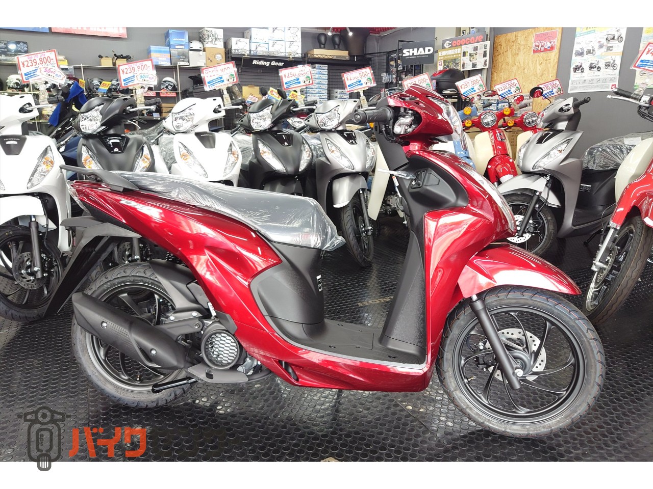ホンダ DIO110 Lite 新基準原付 キャンディラスターレッド 原付免許 