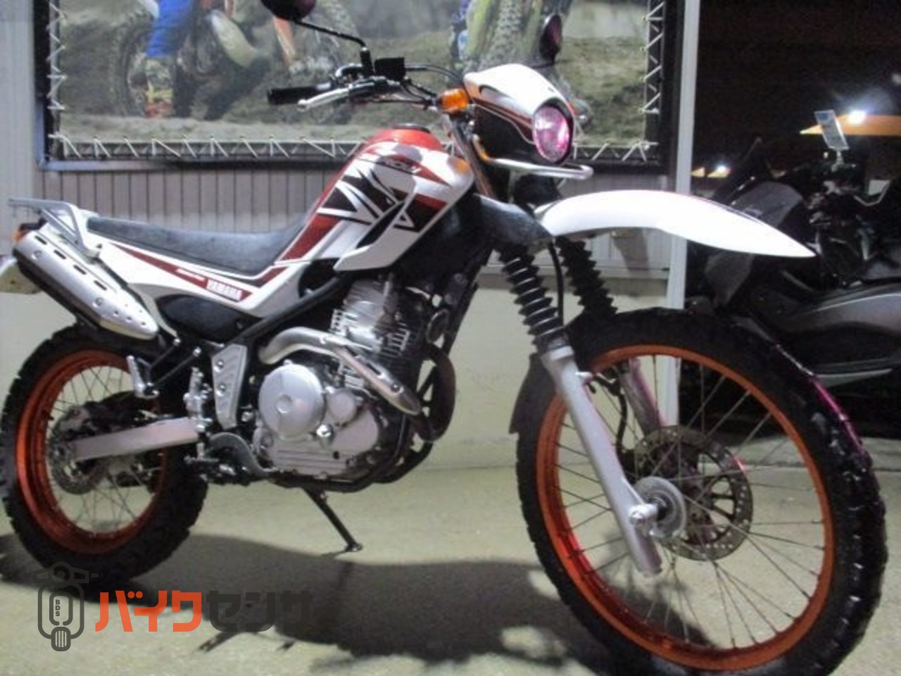 ヤマハ セロー250 オレンジの爽やかなセロー! B670956| BDSバイクセンサー