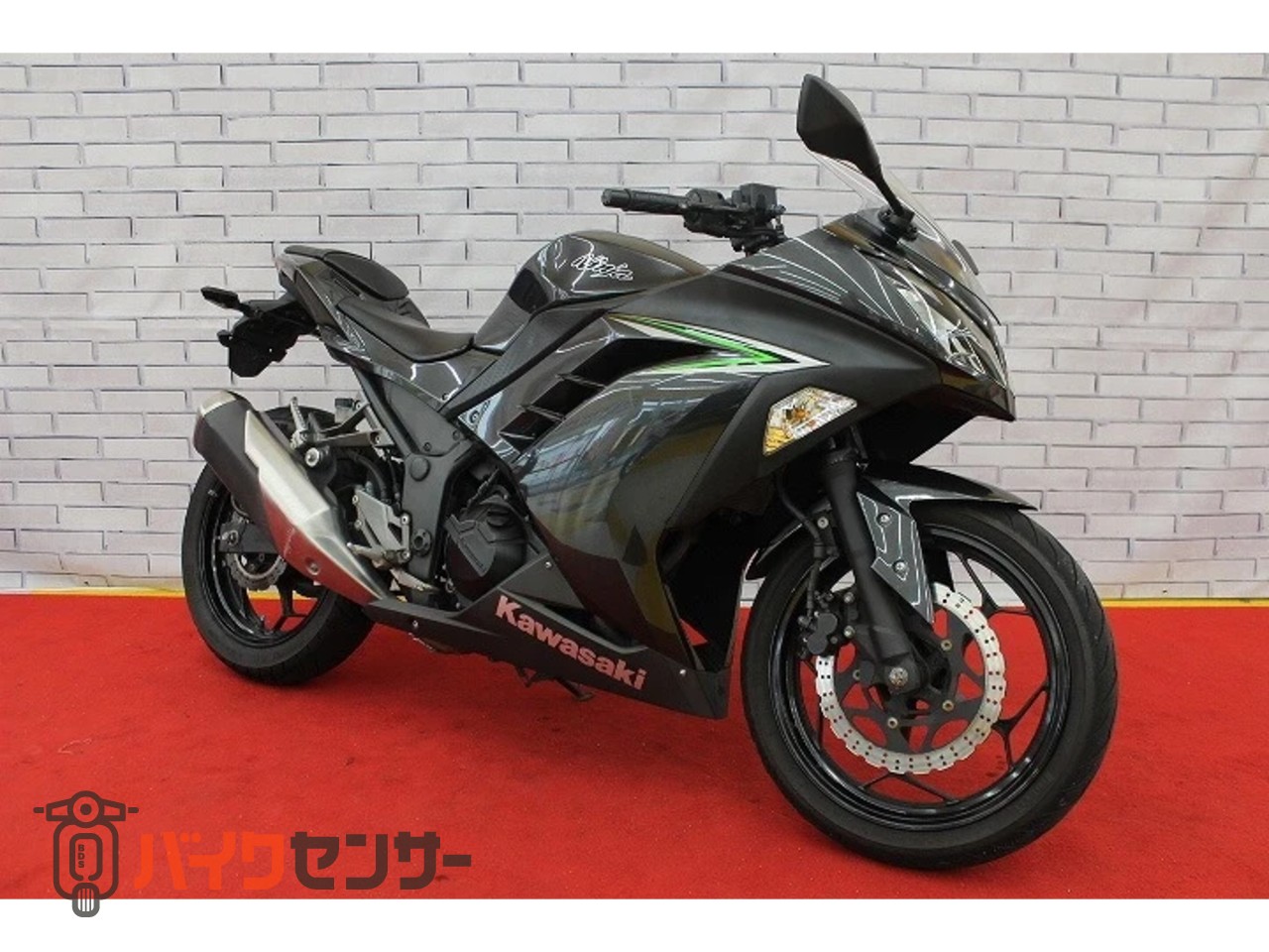 カワサキ NINJA250 B672178| BDSバイクセンサー