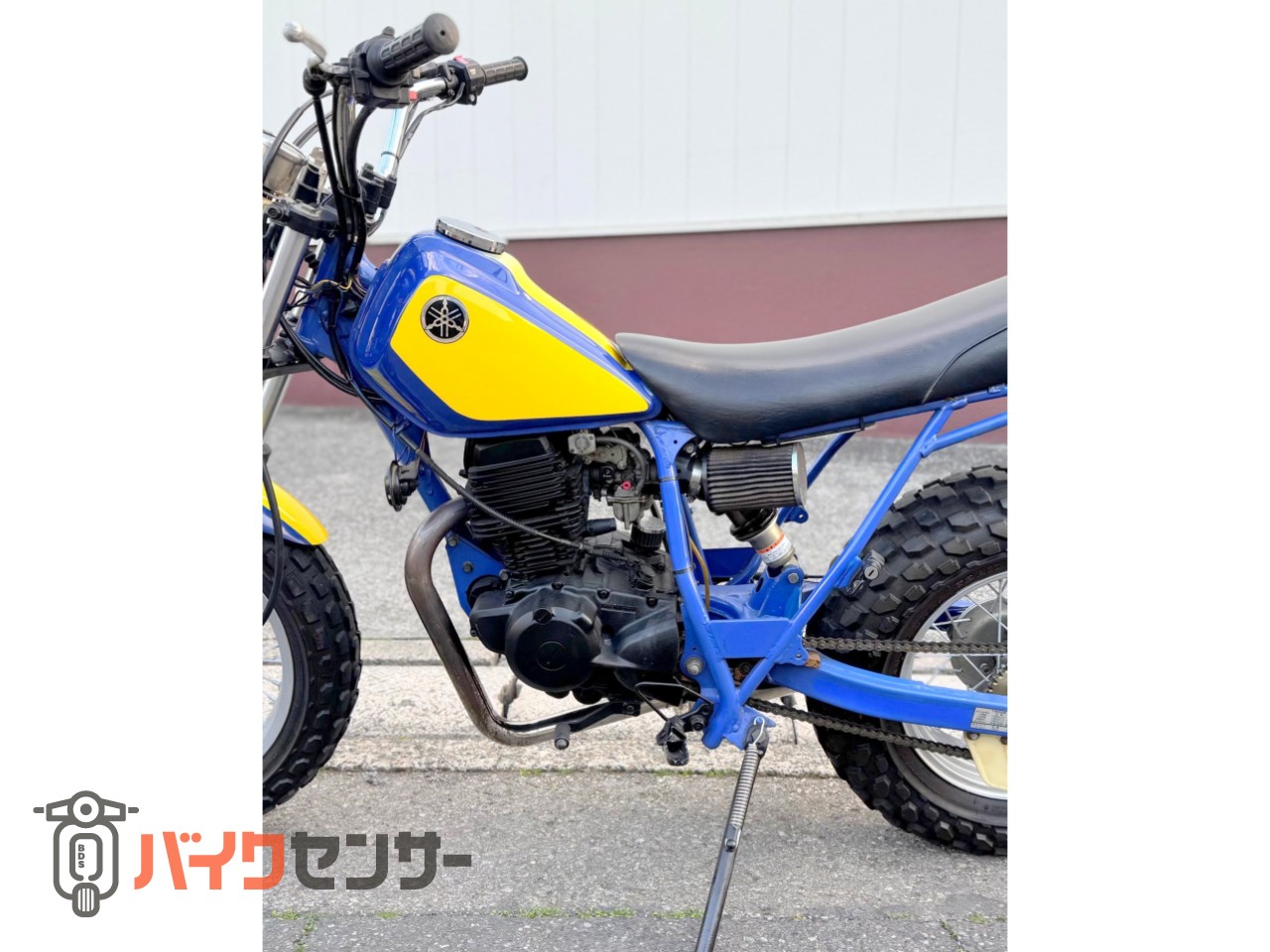 ヤマハ TW200昭和トラッカー ビンテージ初期型スカチューン キック
