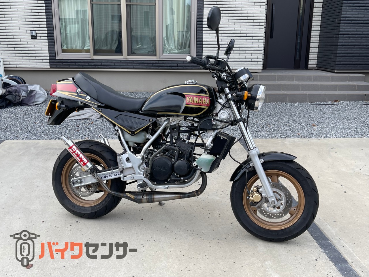 ヤマハ TDR50カスタム RZ仕様 B675325| BDSバイクセンサー