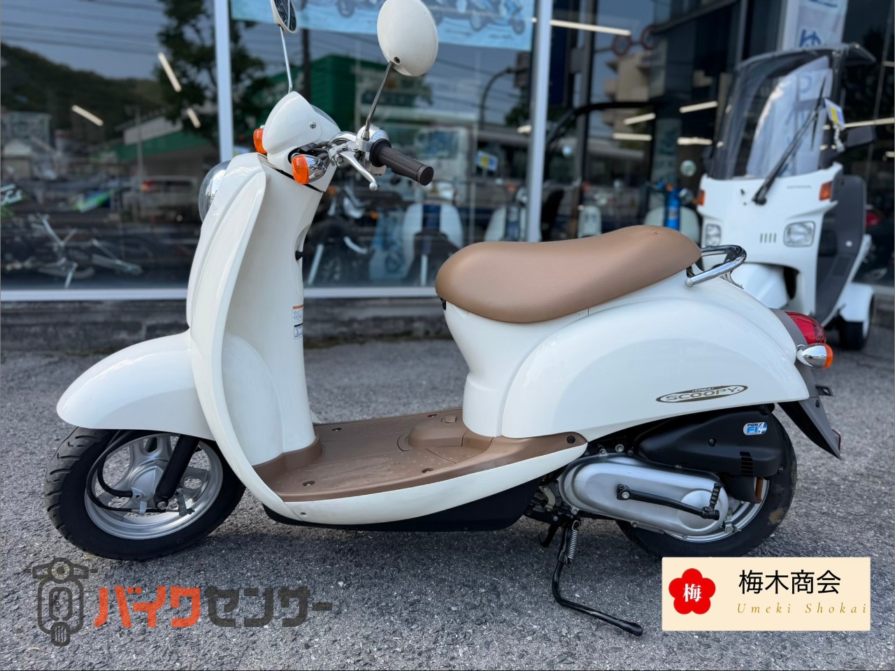 ホンダ クレアスクーピー B675633| BDSバイクセンサー