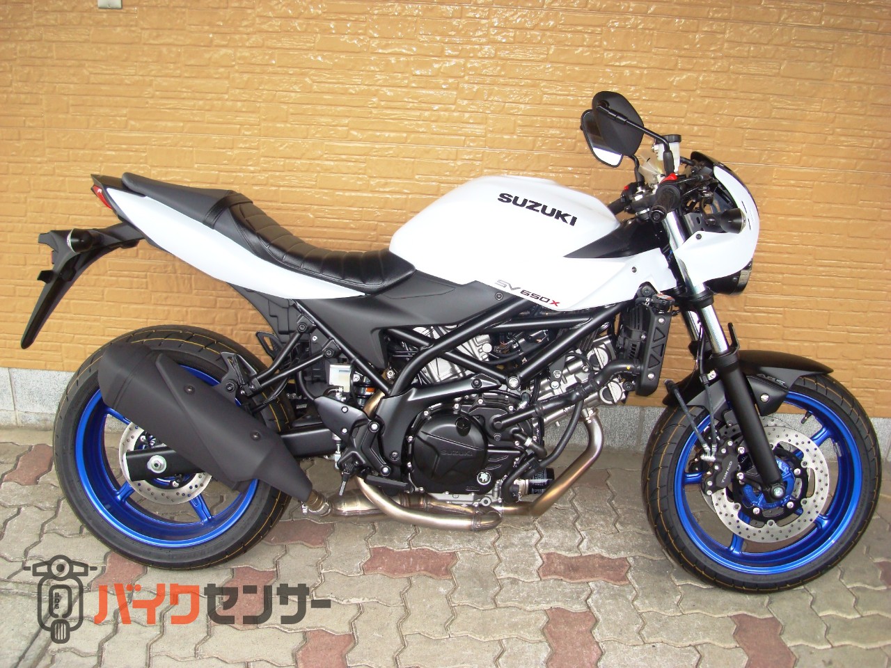 スズキ SV650X 最終モデル パールテックホワイト B677811| BDSバイク 