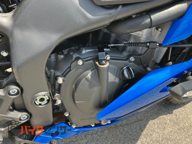 Ninja ZX-4R SE ダブルアールズマフラー フェンダーレス ETC2．0