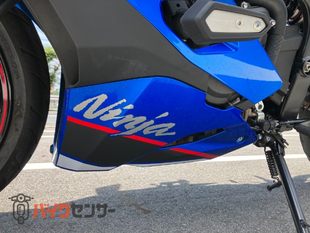 Ninja ZX-4R SE ダブルアールズマフラー フェンダーレス ETC2．0