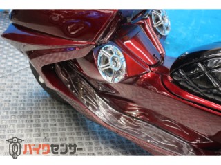 マグザム　ＳＧ１７モデル　フルカスタム　　インジェクション[img36]