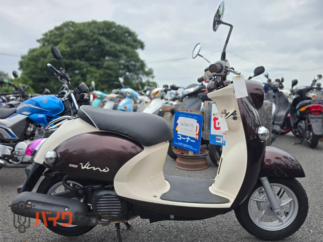 ヤマハ ビーノ 動画あり SA37J型 B679006| BDSバイクセンサー