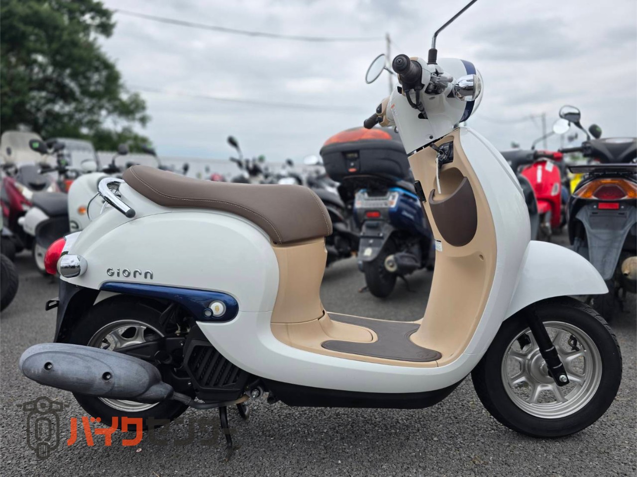 ホンダ ジョルノ AF77型 エンジン動画あり B679229| BDSバイクセンサー