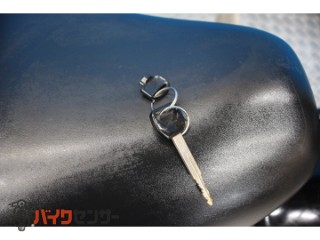 PS250　ＭＦ０９モデル　後期型　ノーマル[img6]