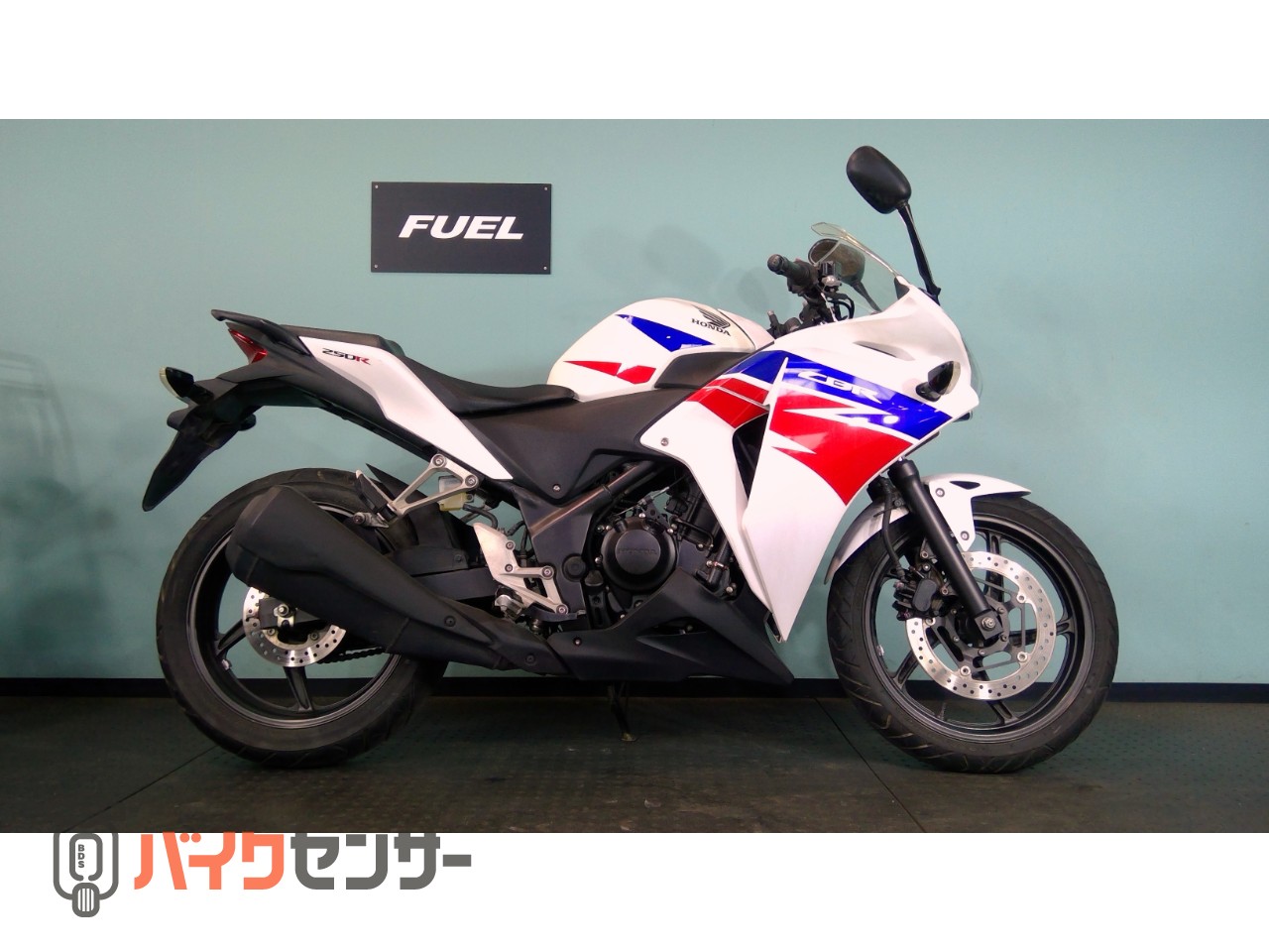 ホンダ CBR250R MC41 ノーマル B683387| BDSバイクセンサー