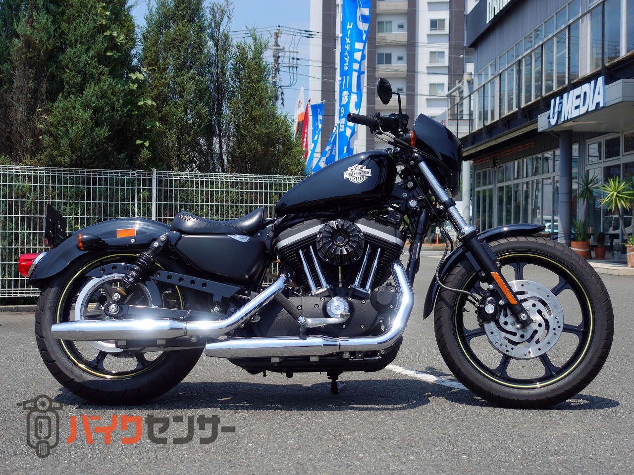 ハーレーダビッドソン XL883R B683974| BDSバイクセンサー