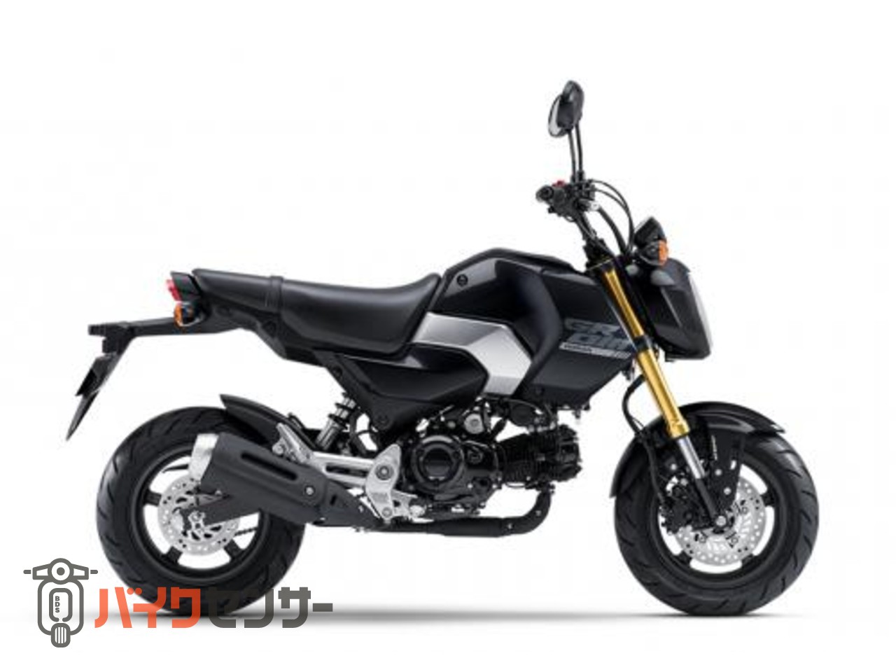 ホンダ グロム 2026年モデル B684008| BDSバイクセンサー