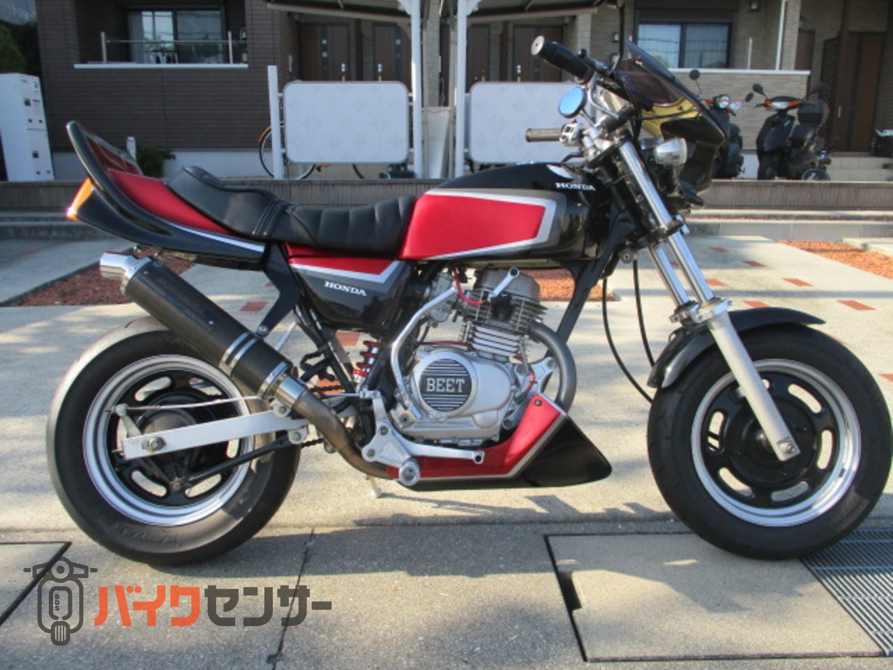 ホンダ エイプ50 CBX仕様 B687492| BDSバイクセンサー