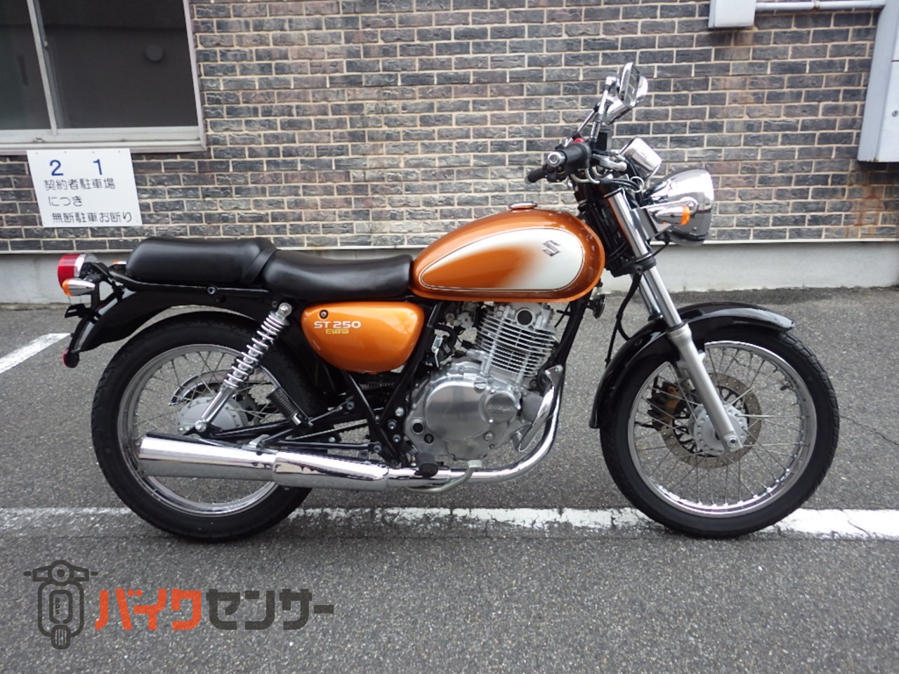 スズキ ST250 Eタイプ B687666| BDSバイクセンサー