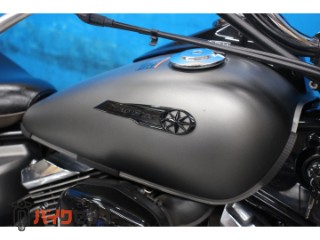 ドラッグスター250　ＶＧ０５Ｊモデル　ノーマル　サイドバック　２０１５[img14]