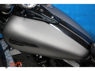 ドラッグスター250　ＶＧ０５Ｊモデル　ノーマル　サイドバック　２０１５[img44]