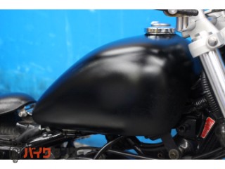 TW225E　フルカスタム　ＤＧ０９Ｊモデル[img12]