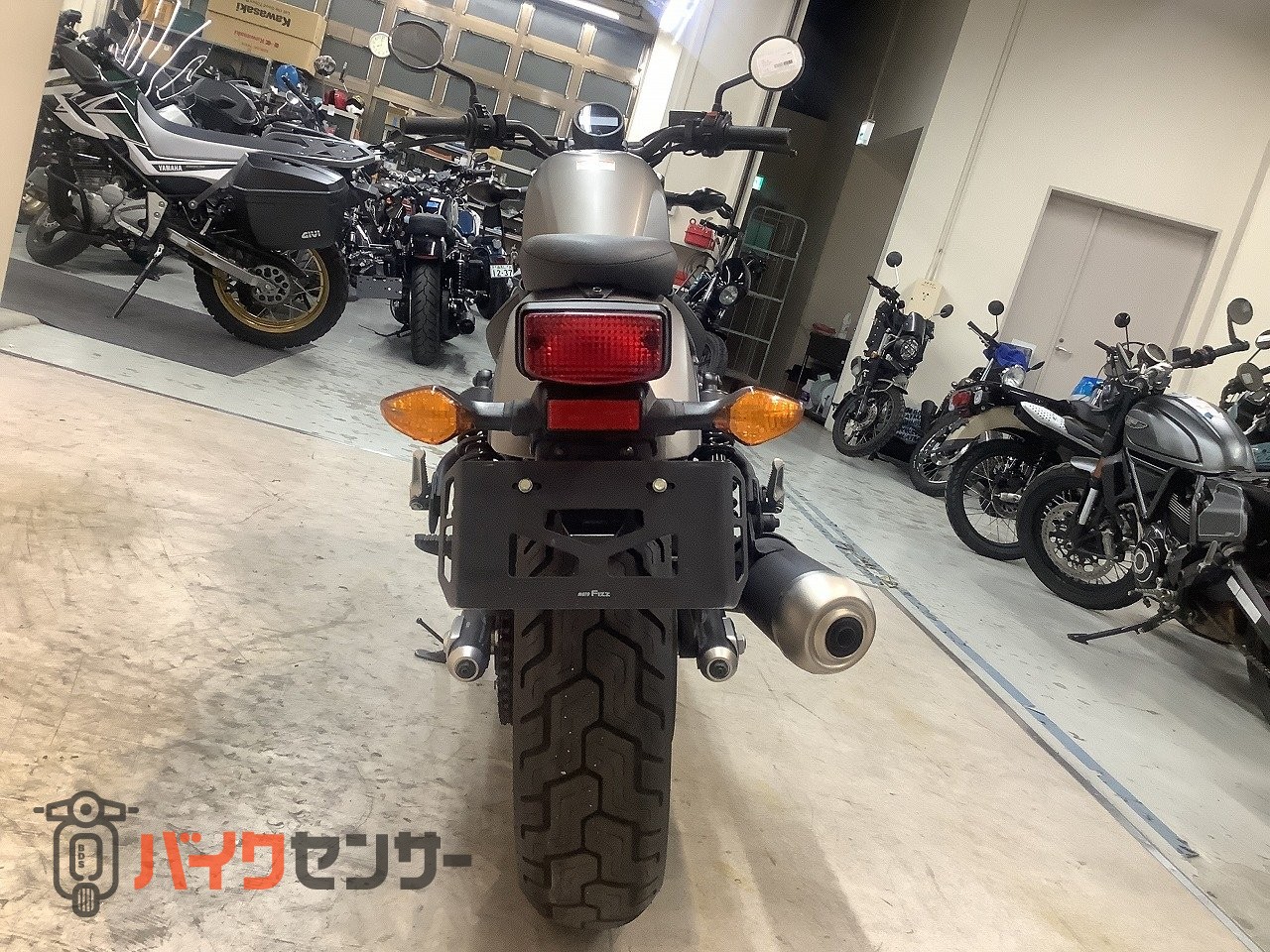 ホンダ レブル250◇2019年モデル◇フルノーマル B696730| BDS