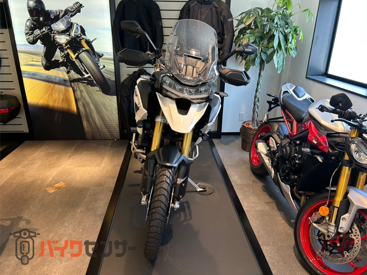 トライアンフ タイガー1200デザートエディション グリップヒーター