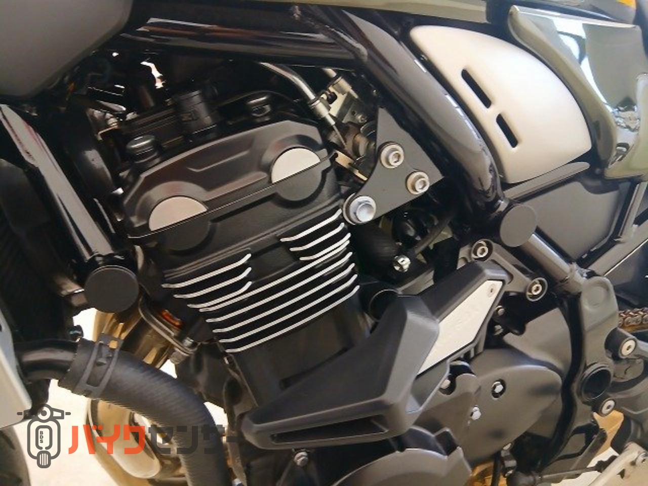 カワサキ Z900RS 純正エンジンスライダー／グラブバー B697718| BDS