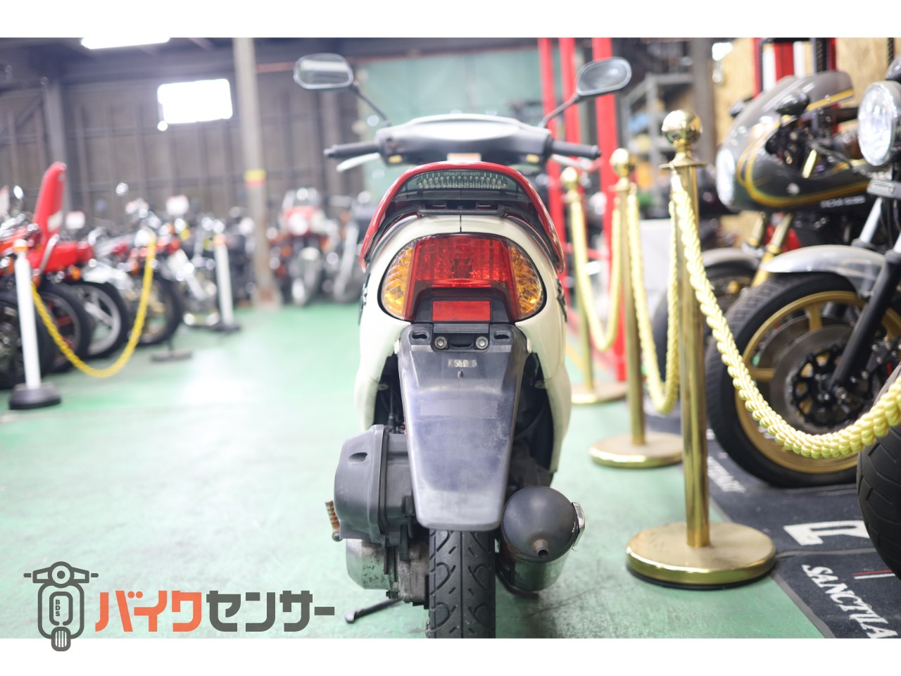 T008@即購入歓迎  ホンダ ホンダ ライブDio ZX 50周年アニバーサリーモデル