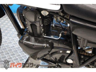 250TR　ＢＪ２５０Ｆモデル　インジェクション　カスタムマフラー[img37]