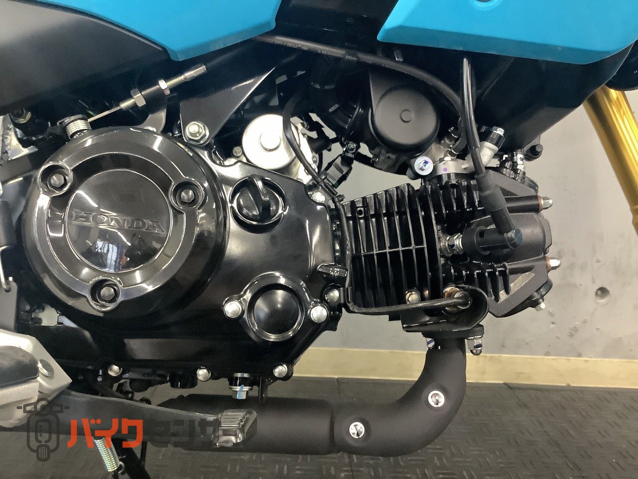 ホンダ グロム 2026年モデル B701746| BDSバイクセンサー