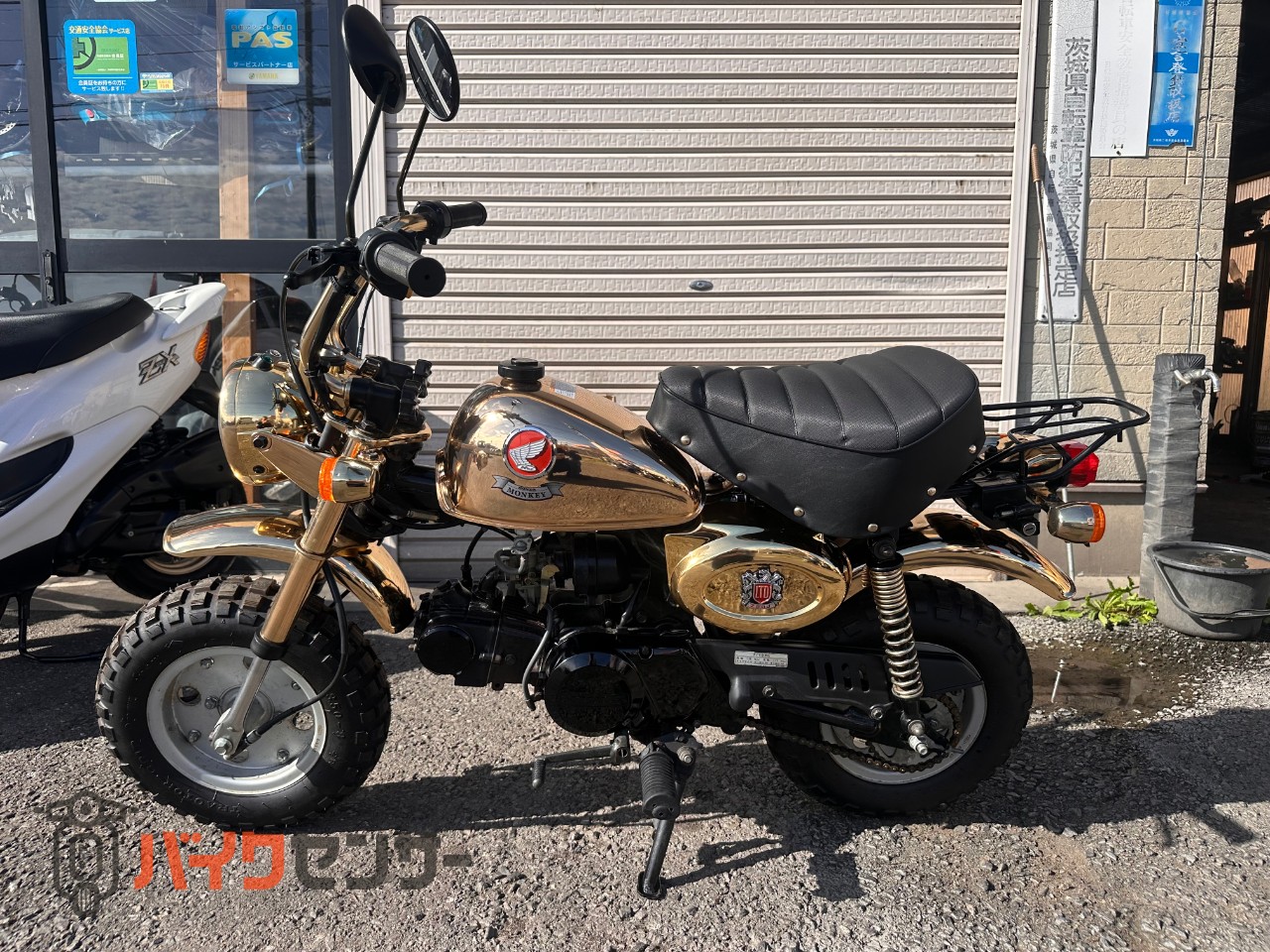 ホンダ モンキー ゴールドモンキー 12V フルノーマル B702765| BDS