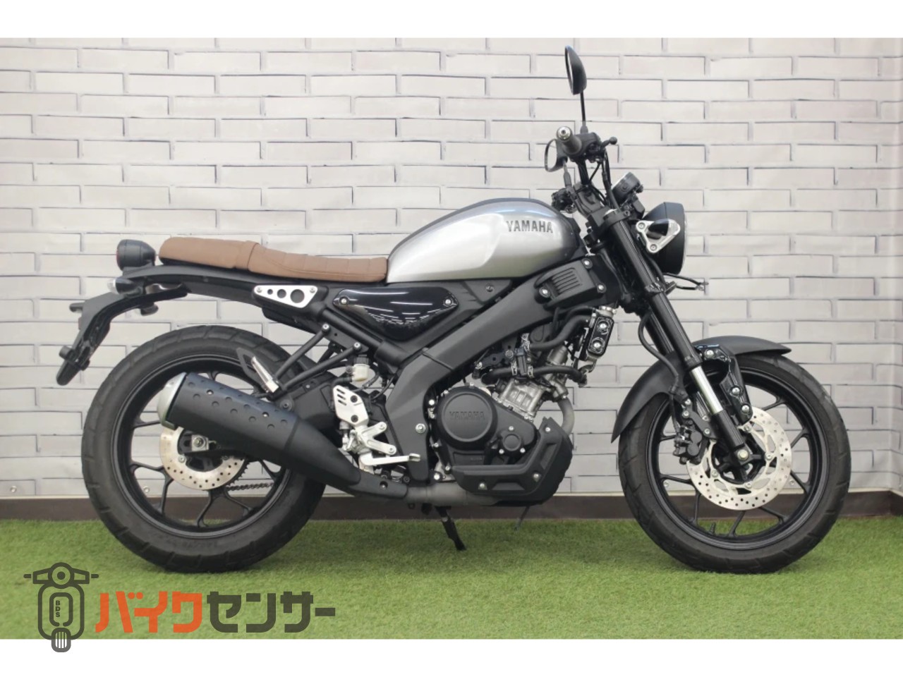 ヤマハ XSR155 B703047| BDSバイクセンサー