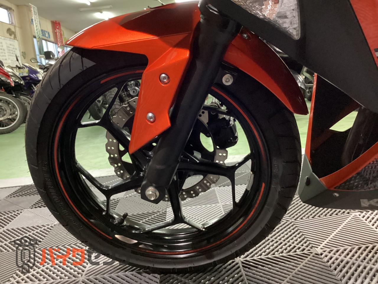 カワサキ Ninja250 B704731| BDSバイクセンサー