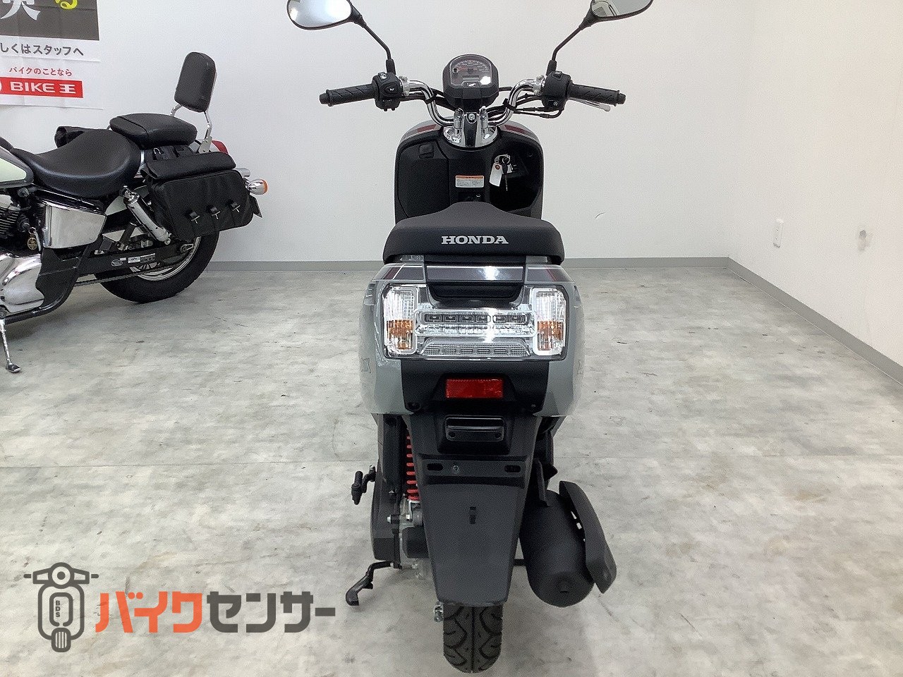 ホンダ ダンク 2022年モデル AF78型 フルノーマル！! B705859| BDS
