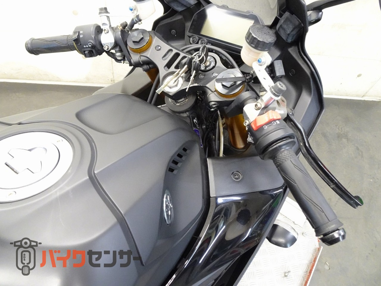 ヤマハ YZF-R25 RG43J 2019年モデル ベビーフェイス製バック