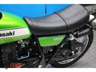 250TR　インジェクション　ＢＪ２５０Ｆモデル　ノーマル[img31]